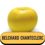 Belchard Chanteclerc Pomme de la Ferme Charentaise