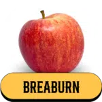Breaburn pomme de la Ferme Charentaise