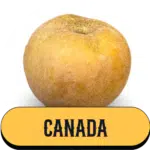 Canada Pomme de la Ferme Charentaise