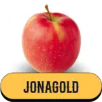 Jonagold Pomme de la ferme Charentaise