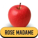 Pomme Rose Madame de la Ferme Charentaise