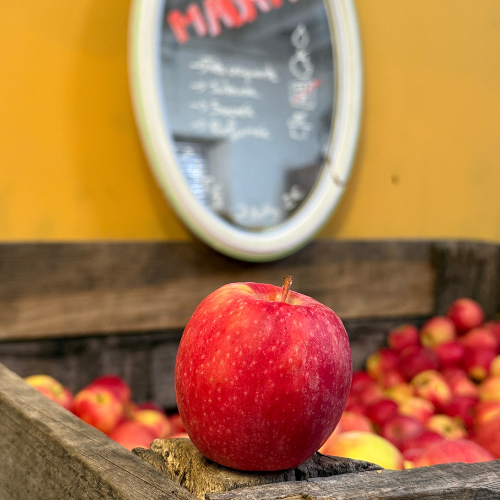 Pomme de la ferme charentaise